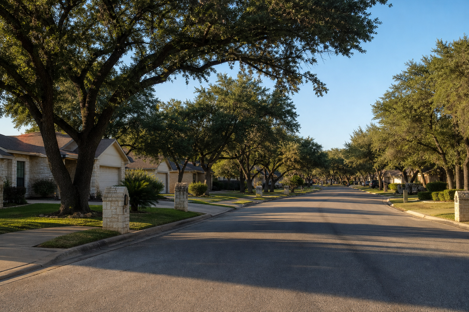 Suburban San Antonio neighborhood street with single-family homes under a clear afternoon sky